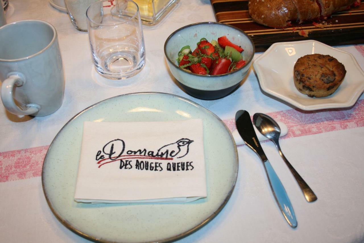 Hotel Le Domaine Des Rouges Queues Chateaudouble  Esterno foto